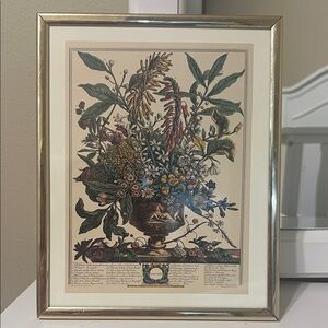 Framed January Botanical Art Print
